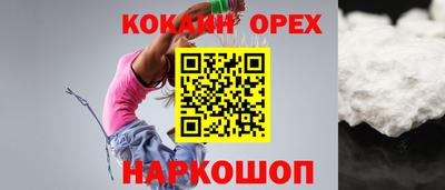 кокс Гатчина