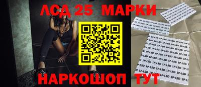 кокс Гатчина