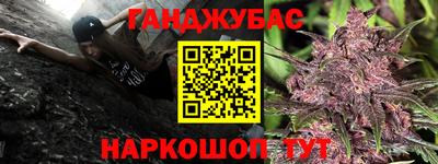 кокс Гатчина