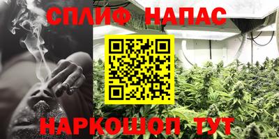 кокс Гатчина