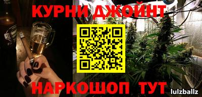 кокс Гатчина