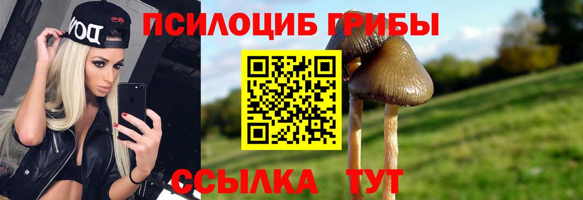 Галлюциногенные грибы мицелий Валуйки
